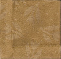 Br�dduk tulpan