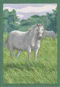 Handduk 35 x 50 cm Horse*